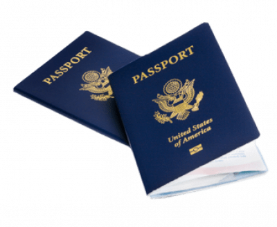 Carbon Leather Passport Holder